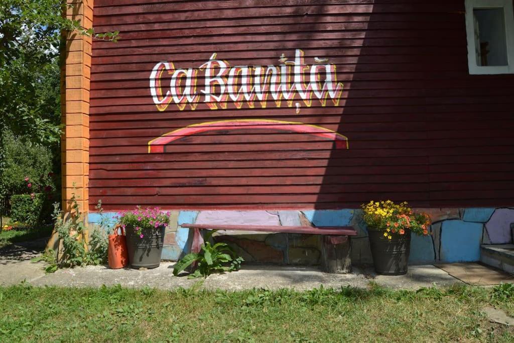 Willa Cabanita Întorsura Buzăului Zewnętrze zdjęcie